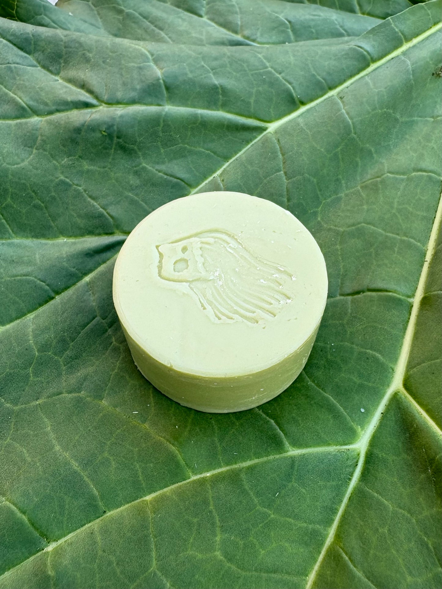 Hag of the Mist WATER HORSE Conditioner Bar with Cupuaçu Butter + Broccoli Seed