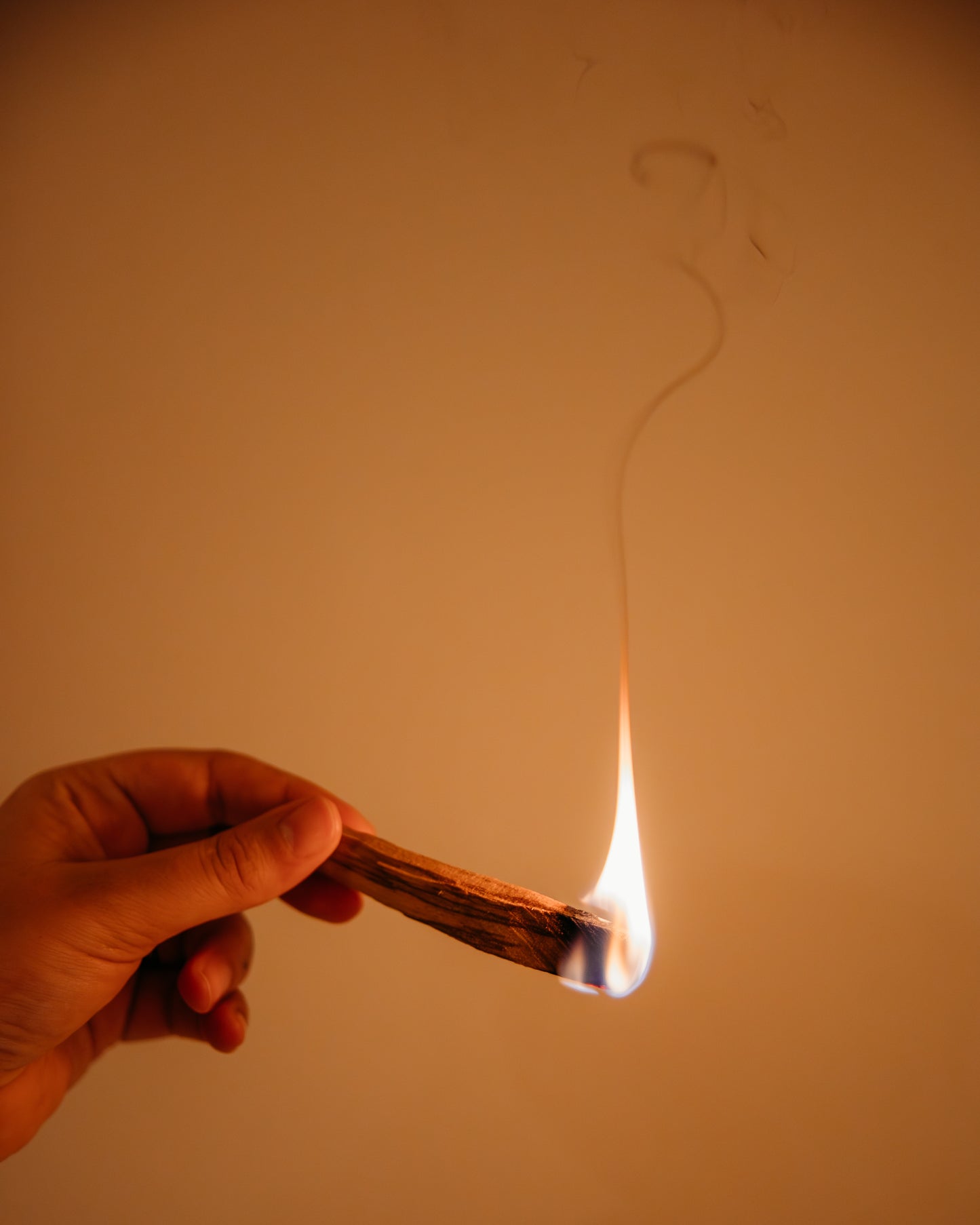 Palo Santo Natural Incense