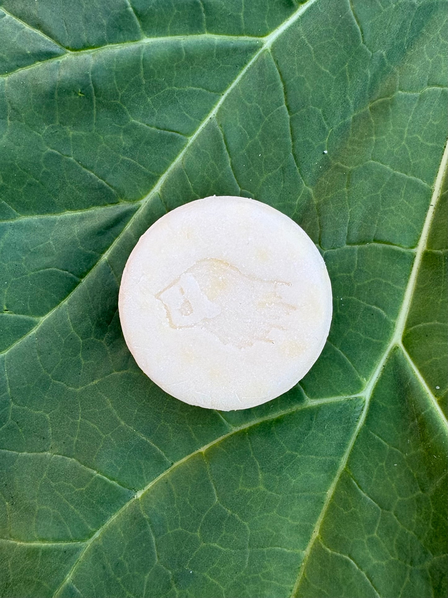 Hag of the Mist PURE CLOUD Fragrance Free Conditioner Bar with Cupuaçu Butter + Broccoli Seed