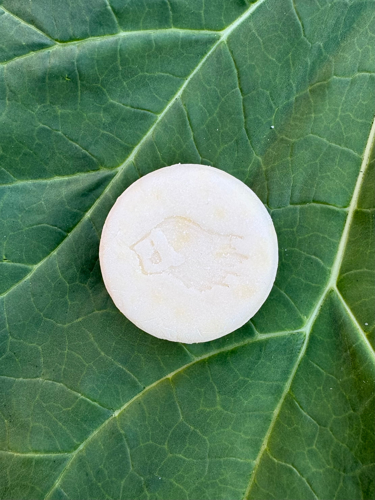 Hag of the Mist PURE CLOUD Fragrance Free Conditioner Bar with Cupuaçu Butter + Jojoba