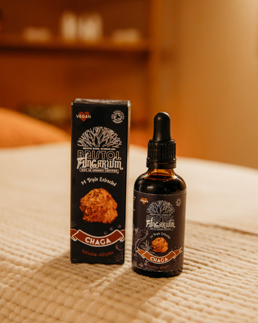 Bristol Fungarium Organic + Wild Harvested Chaga