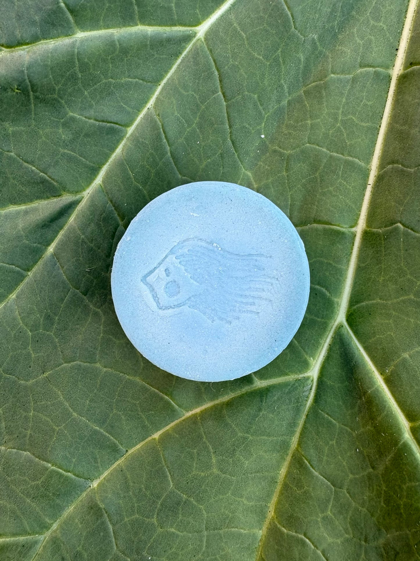Hag of the Mist GWENHIDW Conditioner Bar with Cupuaçu Butter + Broccoli Seed