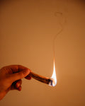 Palo Santo