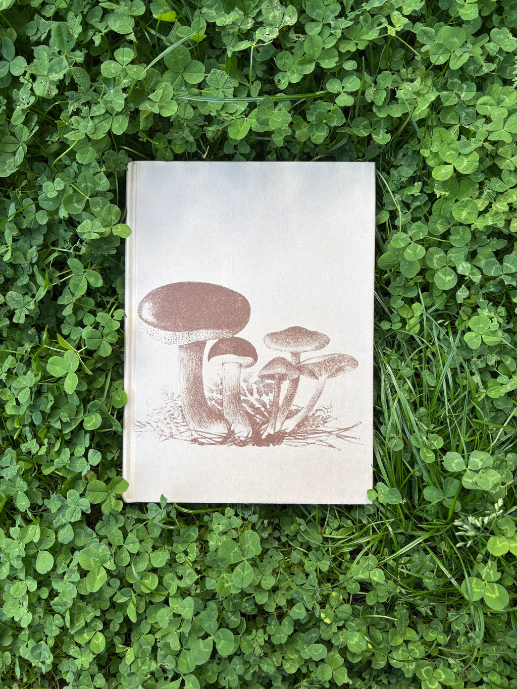 The Illustrated Book of Flowerless Plants: 1979 Edition