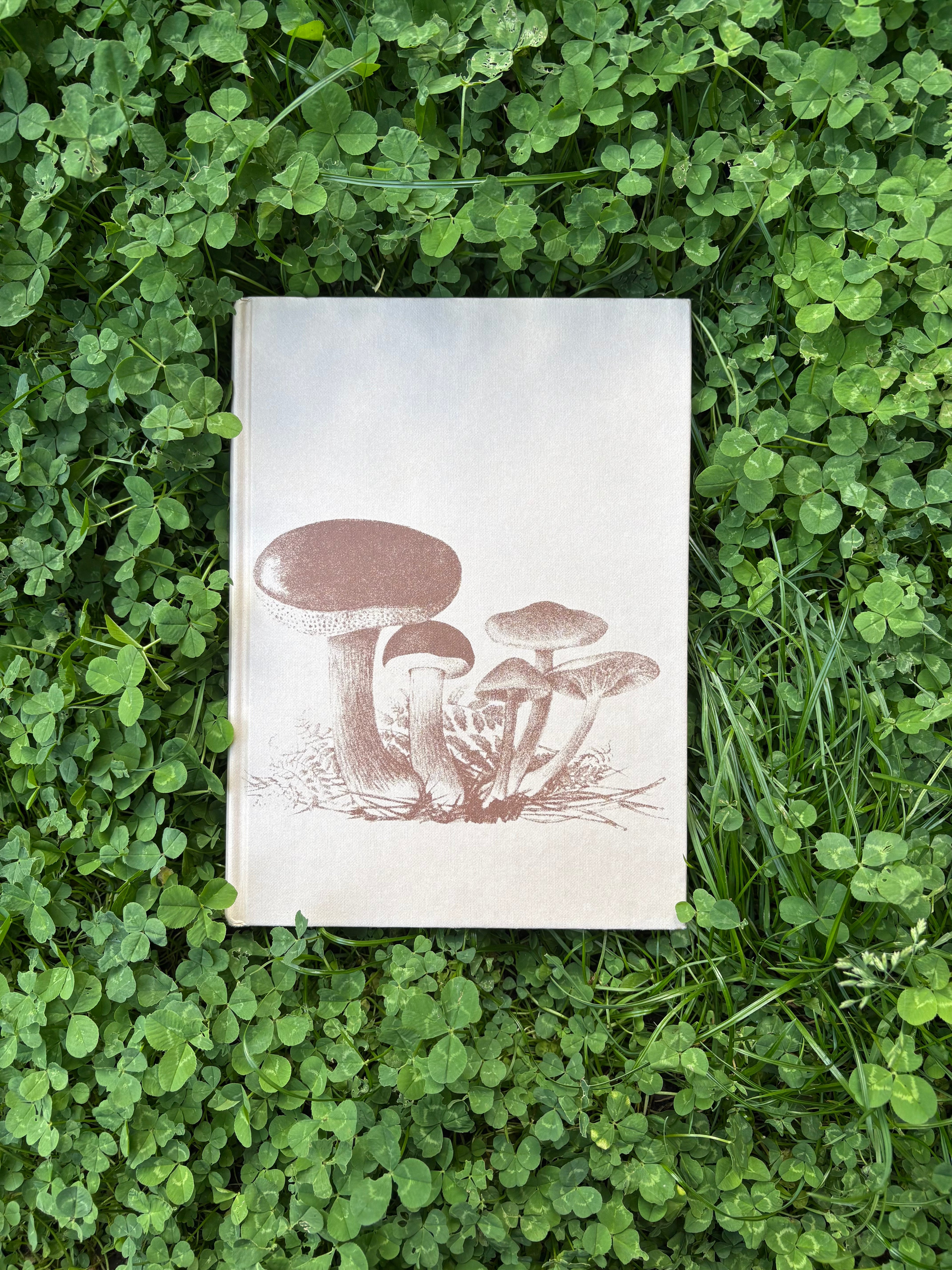 The Illustrated Book of Flowerless Plants: 1979 Edition