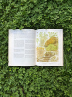 The Illustrated Book of Flowerless Plants: 1979 Edition