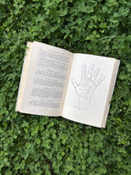 Cheiro's Language of the Hand: 1967 Edition